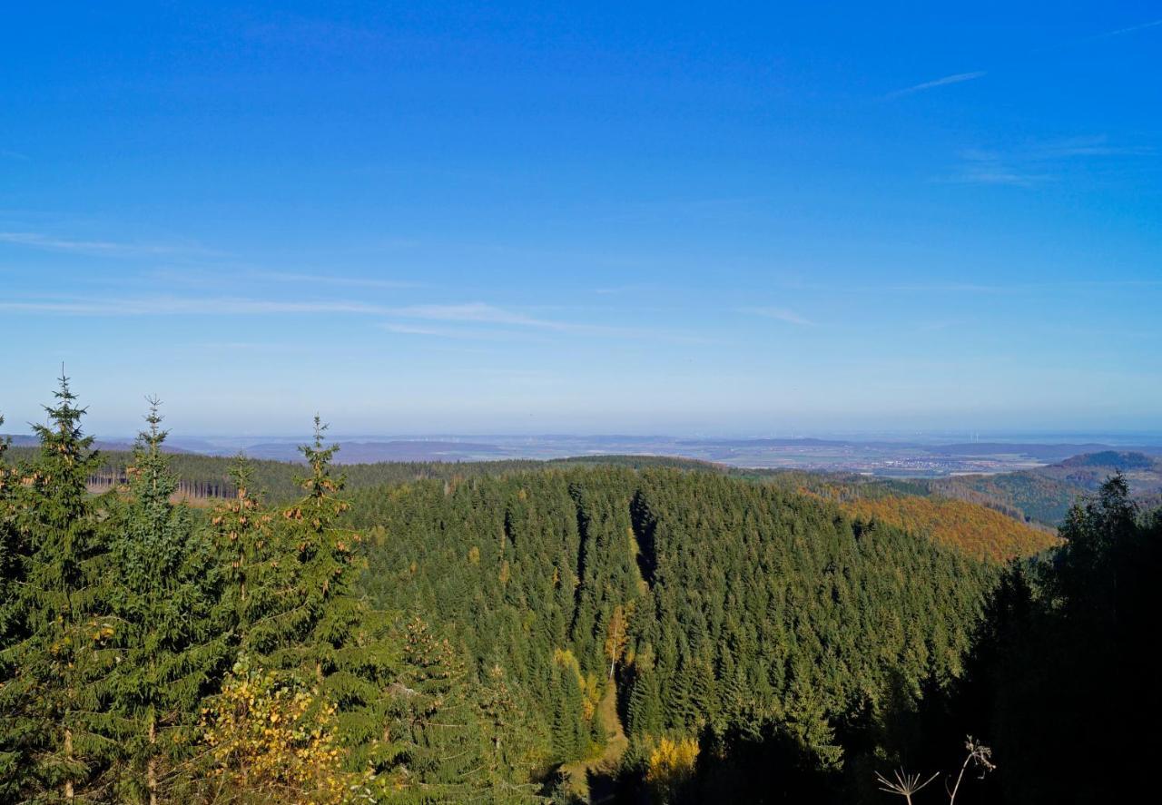 Bergblick471 Lägenhet Goslar Exteriör bild